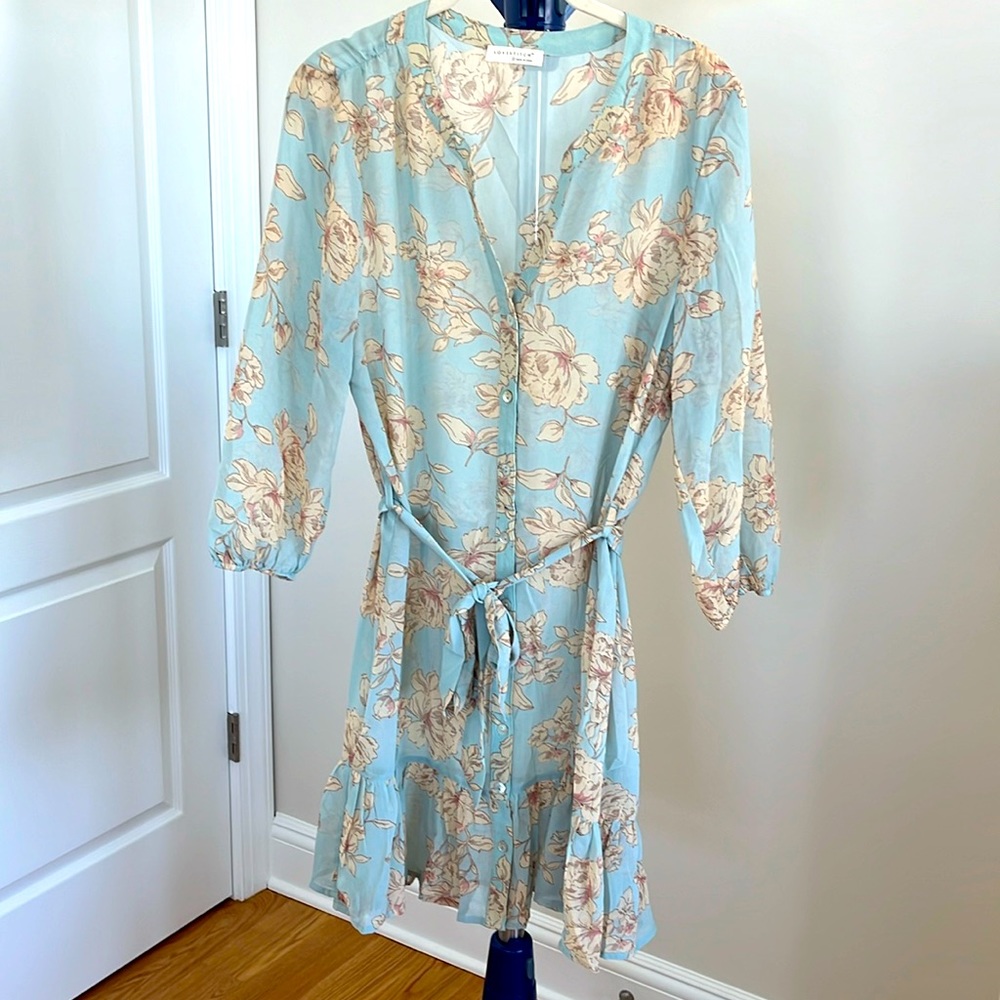 Lovestitch mini dress, size small, sheer floral pattern with full slip lining.